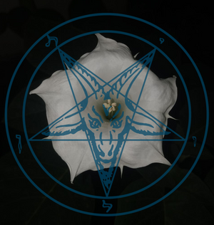 Datura, Leviathan and one magic square